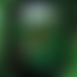 The Reality Game Show