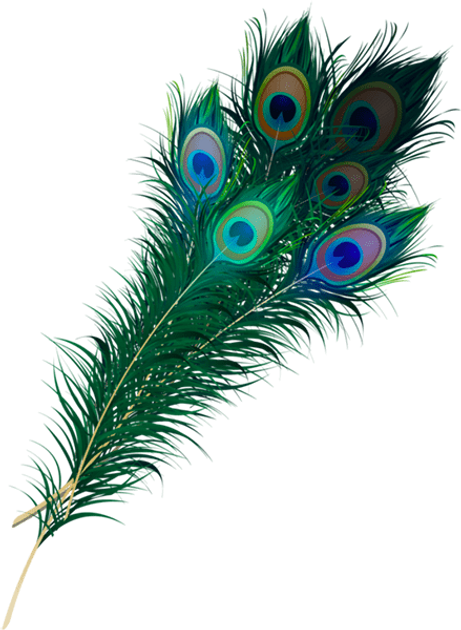 Paon.png