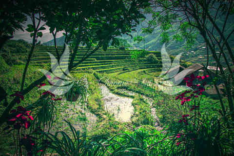 Ex-Chrome Art - Photography - Shop - Travel