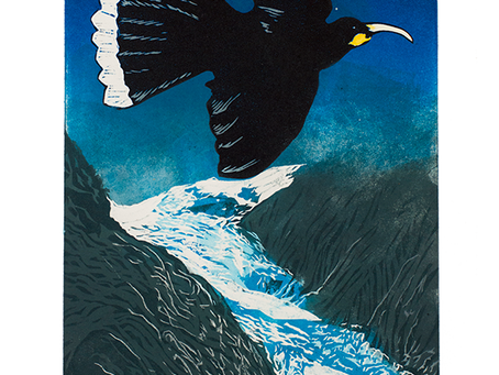 Huia