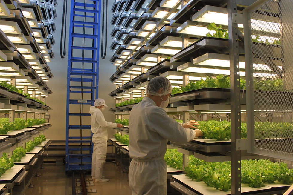 Multistage Indoor Farm