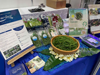 シーフードショー デジタル招待状 配布中