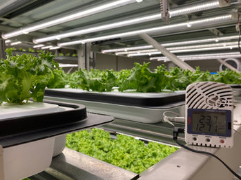 温度・湿度・CO2監視 at 植物工場