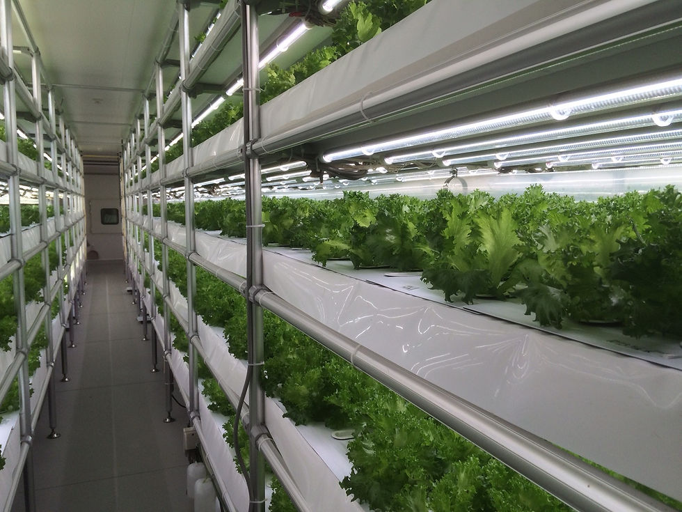 Indoor Farm with White LED