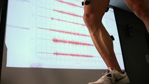 Effects of Relative Inertial Load on Quadriceps EMG during Maximal Effort Flywheel-based Training