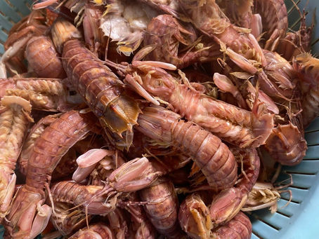 Cách Luộc Tôm Tít Ngon Đơn Giản, Giữ Trọn Vị Biển
