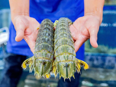Cách Làm Tôm Tít Hấp Ngon Đơn Giản Tại Nhà