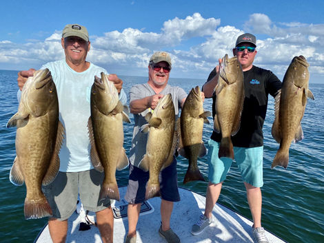 grouper 3.jpg