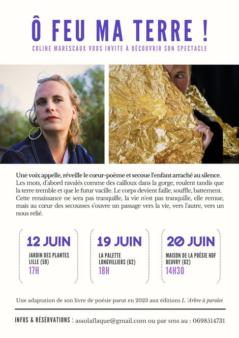 graphiste plaquette spectacle lille