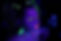 UV PAINT.jpg
