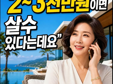 소노러스라임으로 결정한 이유