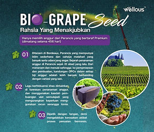 b2668d5d-cba3-43cb-a965-33101ecfeae5.jpg