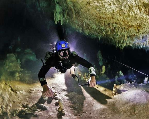 THE IMPORTANCE OF CENOTES FOR MARINE BIODIVERSITY