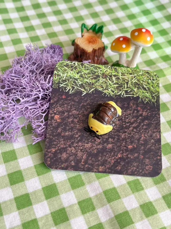 Thumbnail: Ispod Stud Pins | Altar Ware Clay | Insect Bug | Unique Bug-Themed HandmadeGifts