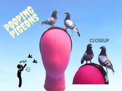 Pooping Pigeons Bird Shit Headband