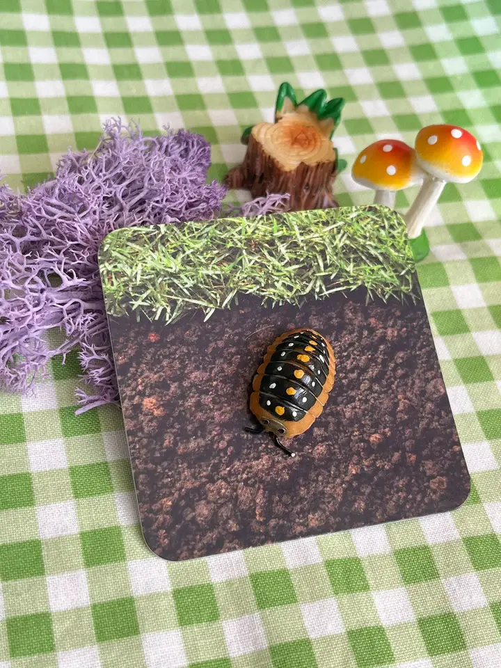 Thumbnail: Ispod Stud Pins | Altar Ware Clay | Insect Bug | Unique Bug-Themed HandmadeGifts
