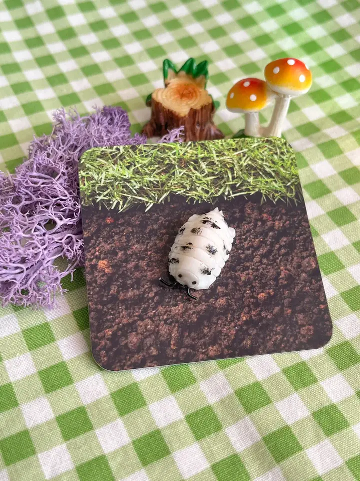 Thumbnail: Ispod Stud Pins | Altar Ware Clay | Insect Bug | Unique Bug-Themed HandmadeGifts