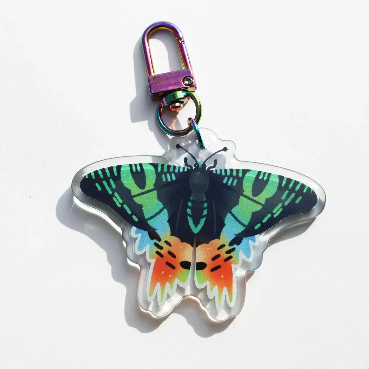 Sunset Moth Acrylic Charm - Microbiome Arts - Butterfly, Insect Gifts