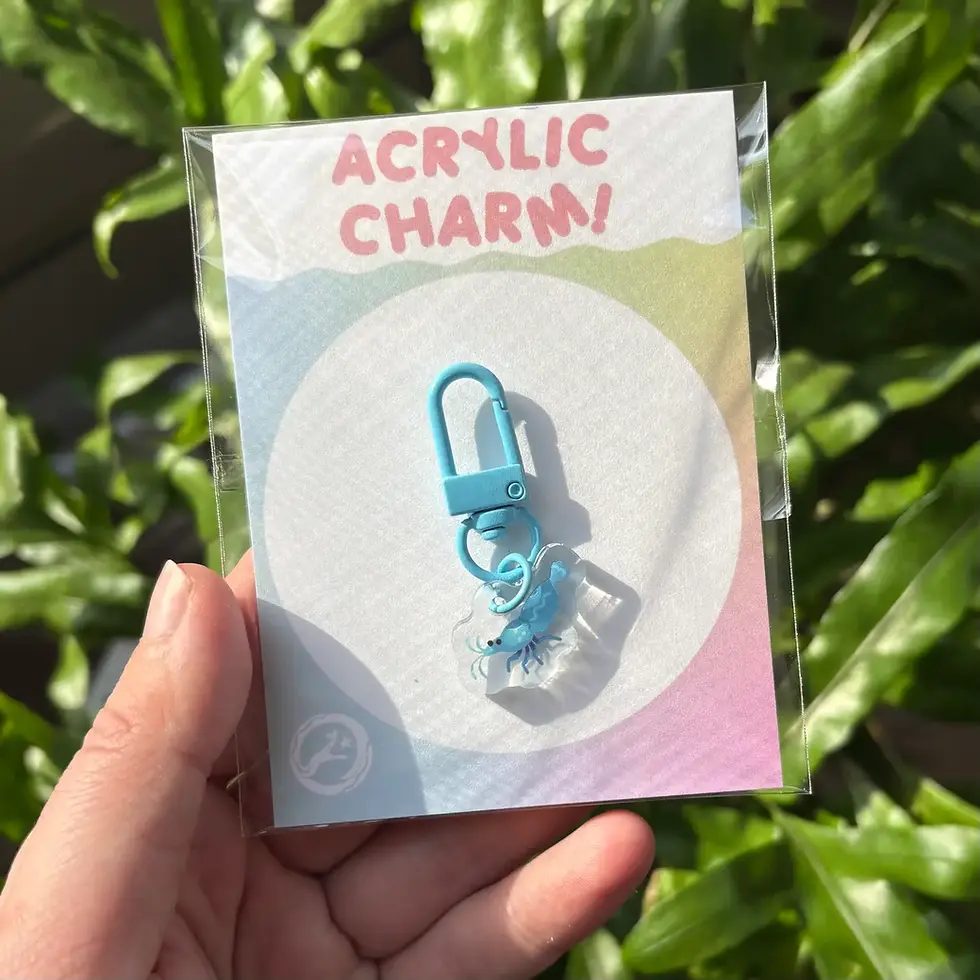 縮圖：Miniature Shrimp 1” Acrylic Charms - Red or Blue Cherry Shrimp - Microbiome Arts