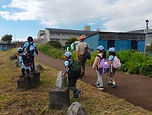 1029-2.jpg