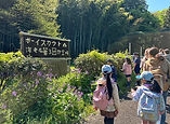 0409-1.JPG