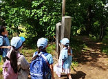 0528-3.JPG