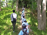 0528-1.JPG
