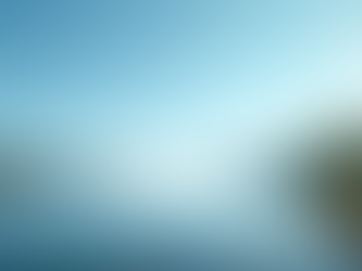 Top Wealth Management Strategies for 2023 Success