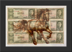 Serie Caballos sin Héroes