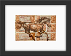 Serie Caballos sin Héroes