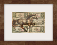 Serie Caballos sin Héroes