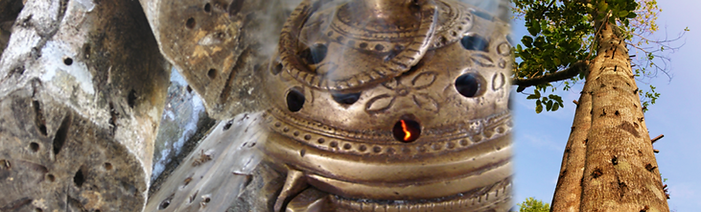 oud du siam.png