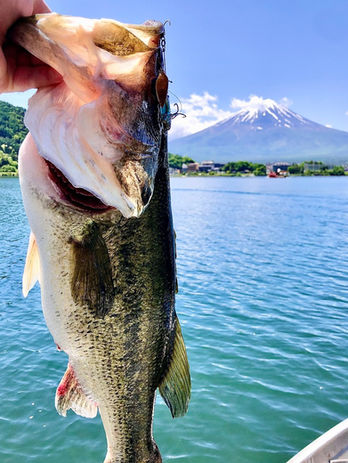 Big Bass Japan Kawaguchi Mt Fuji.jpeg