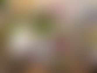 オープンから1週間