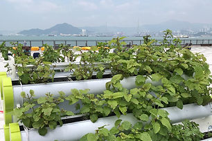 WhatsApp Image 2020-10-19 at 12.46.44.jp