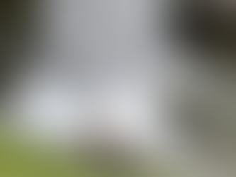 Always Water, Rushing Over Rocks