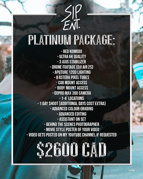 SIP Video Packages PLATINUM copy.jpg