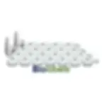 BROTHER DK2210 24 Rollos Etiqueta Continua 29mmx30m para Brother QL | BIOLABELS