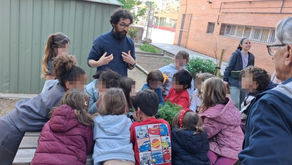 Herbes medicinals a l’hort