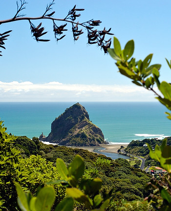 Piha-Beach-Auckland-Scott-Vennin.jpg
