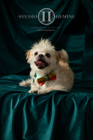Meatball-4.jpg
