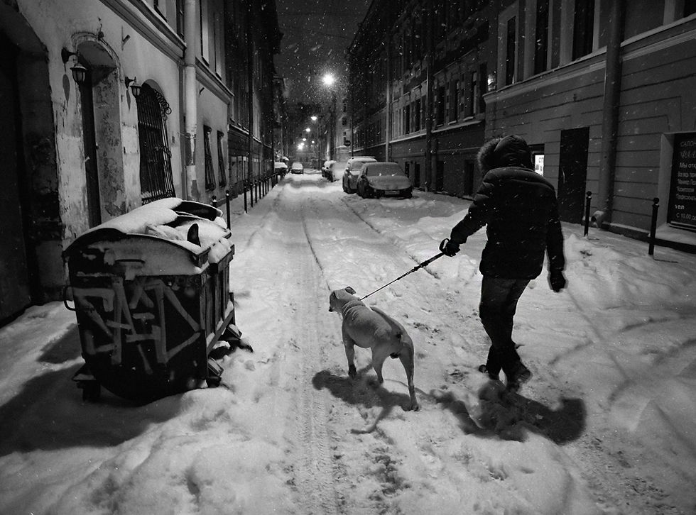 СПб. Прачечный переулок