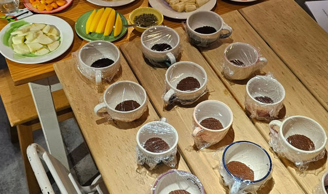 Cata de café