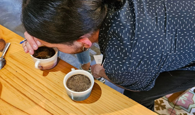 Cata de café
