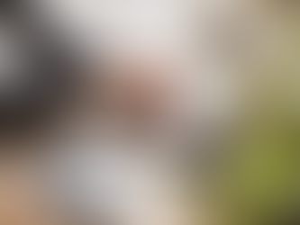 ホームページ運用開始のご案内