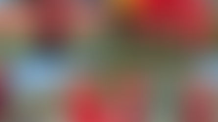 Татаренко Нестор, 1-Б