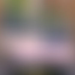 Митрофанова Кіра, 7-А