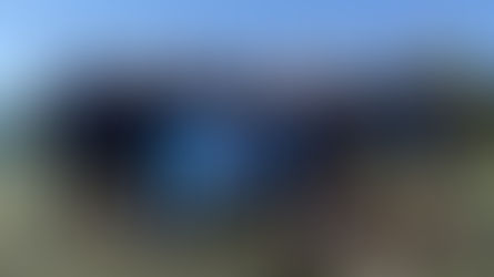 Тихонов Степан, 8-В