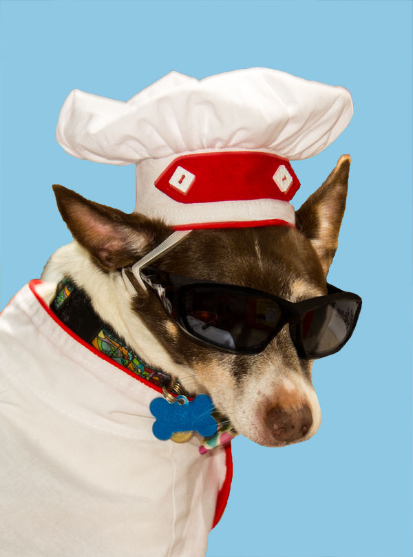 THE DOG CHEFF