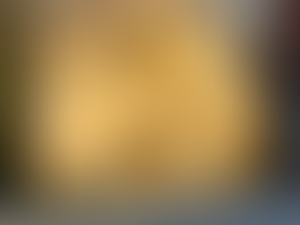 🇩🇰👨🍳 Kopenhagen, Ark, November 2024